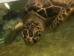 -福州罗源湾海洋世界旅游区