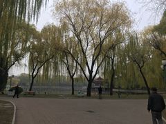 -仁和公园(顺义区)