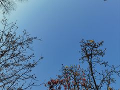 -重庆园博园