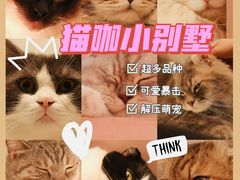 -猫儿山۰猫主题餐厅