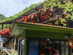 -将军关探险漂流