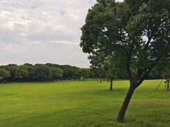 -上海吴淞炮台湾国家湿地公园