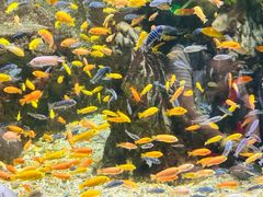 -太平洋海底世界