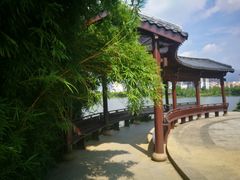 -飞来湖湿地公园