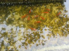 -不倒翁·徽天下名菜楼(马鞍山路店)