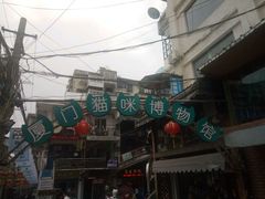 -猫咪博物馆(顶澳仔猫街店)