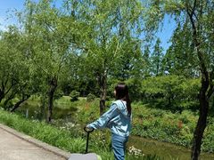 -上海长兴岛郊野公园