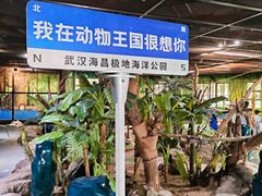 -海合安武汉极地海洋公园