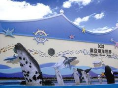 -大连圣亚海洋世界