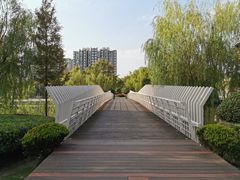 -南翔镇银翔湖公园