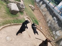 -无锡动物园·太湖欢乐园