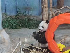 -海南热带野生动植物园