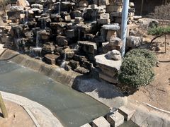 -太原动物园