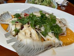 -老苏扬饭店