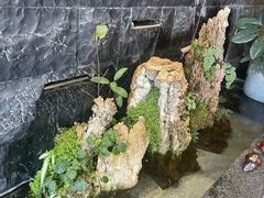 -野菌皇海景野生菌火锅(滨海大道店)