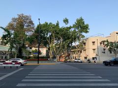 -天府面庄(天平路店)