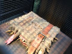 -哈利波特魔法世界