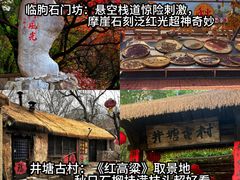 -食鸡公社辣子鸡·潍坊菜·烧烤