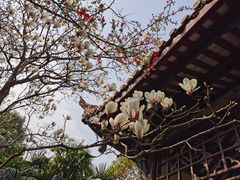 -富乐山