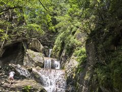 -牛背梁国家森林公园