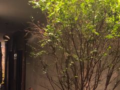 -森SPA·泰式按摩·精油Massage(宝安中心店)