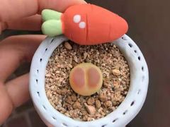 -星巴克(杭州临平万达广场店)