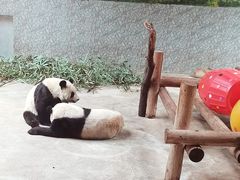 -西安秦岭野生动物园