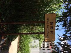 iphone_upload_pic-南丫岛