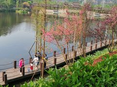 -重庆彩云湖湿地公园
