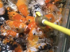 -锦艺城海洋馆