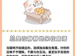 -爱侣宠医·鹦鹉专科·小型哺乳类·异宠专科(灵石路店)