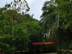 -海南热带野生动植物园