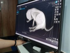 -纳吉亚猫专科动物诊疗中心(蒋宅口分院)