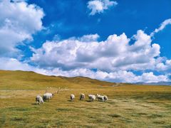 -祁连山草原