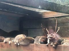 -昆明动物园