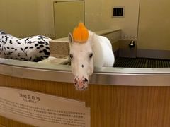 -海澜飞马水城