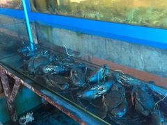 -大螃蟹海鲜餐厅
