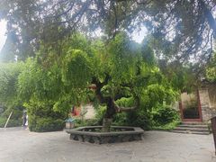 -蓬莱阁景区