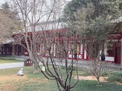 -大慈恩寺(大雁塔)