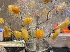 -郭靖内蒙菜·烤全羊·烧烤(望京旗舰店)