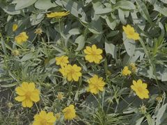 -梁鸿国家湿地公园