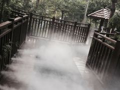 -天目湖涵田半山温泉