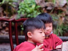 -蔼若春.传承三十年云南菜(金碧公园店)