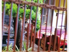 -牛村来人潮汕牛肉火锅(西单店)