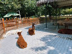 -西安秦岭野生动物园