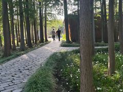 -溱湖国家湿地公园