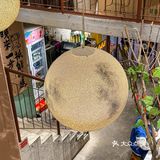 蛙蛙脑袋陷进去啦!!