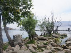 -才村湿地公园