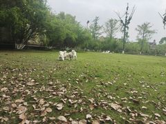 -成都南湖公园
