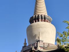 -张掖大佛寺景区